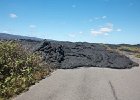 Volcano National Park